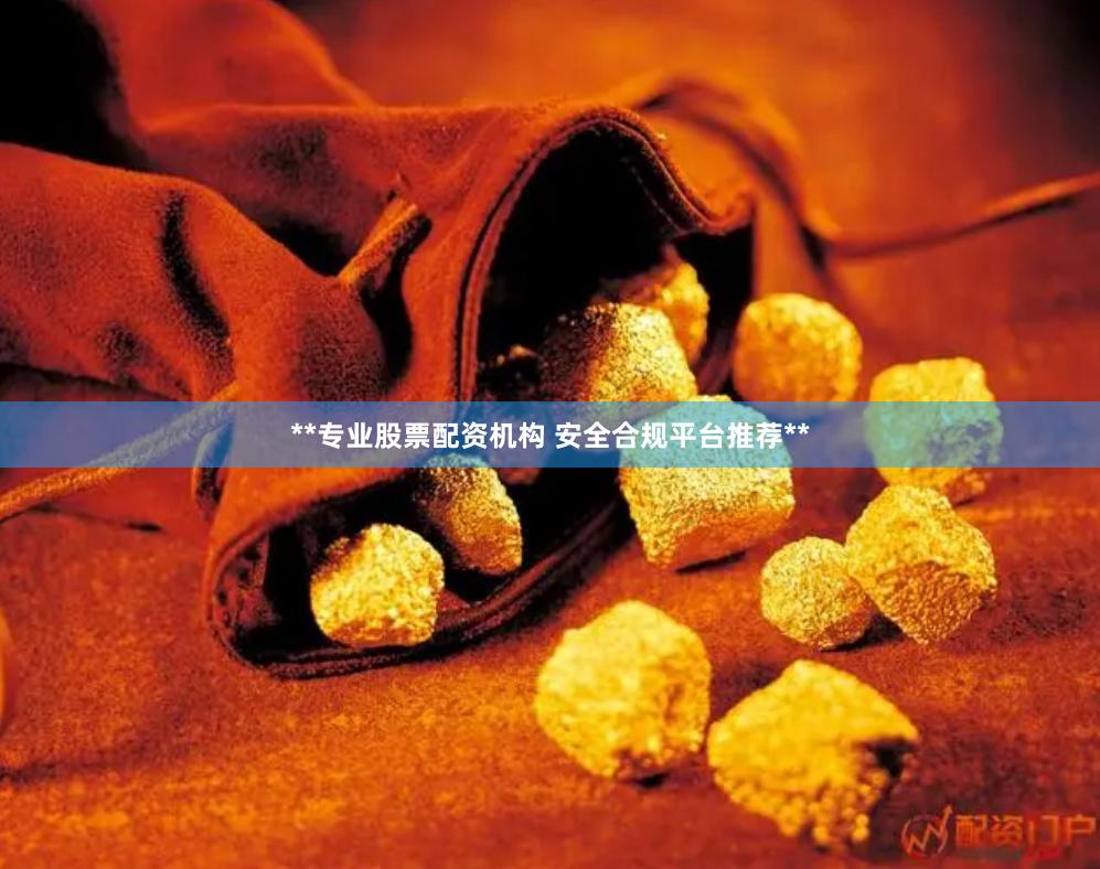 **专业股票配资机构 安全合规平台推荐**