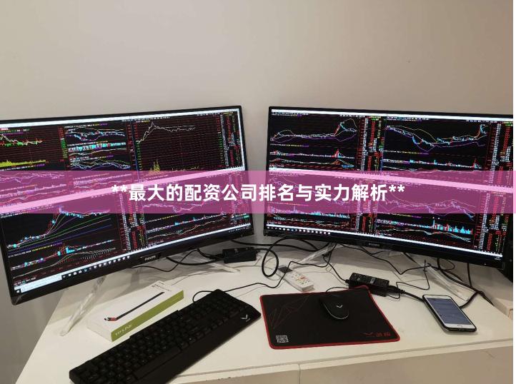 **最大的配资公司排名与实力解析**